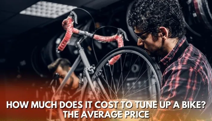 How Much Does a Bike Tune Up Cost