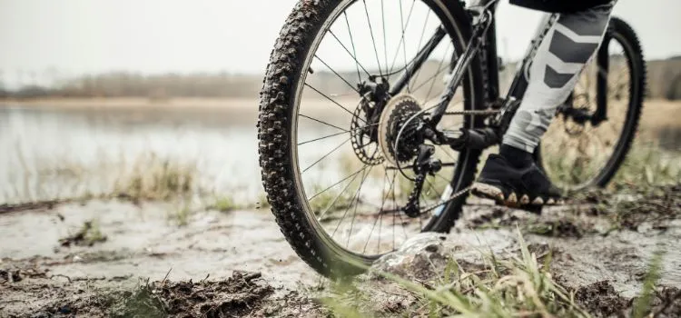 How Many Gears Does Your Mountain Bike Have