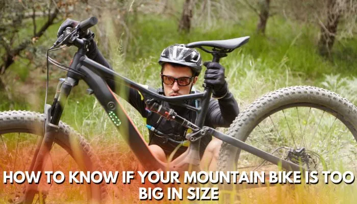 Signs Your Mountain Bike Is Too Big