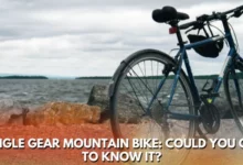 Single gear mountain bikes