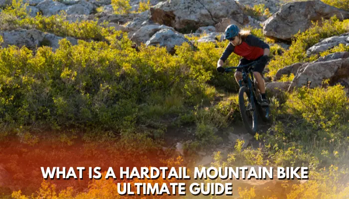 what is a hardtail mountain bike